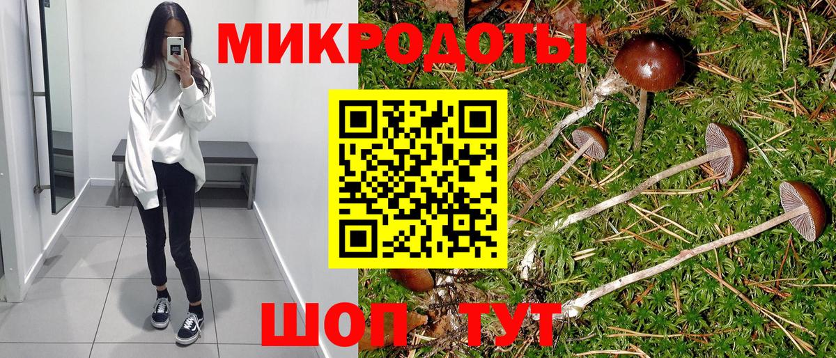Псилоцибиновые грибы Psilocybine cubensis Ачхой-Мартан